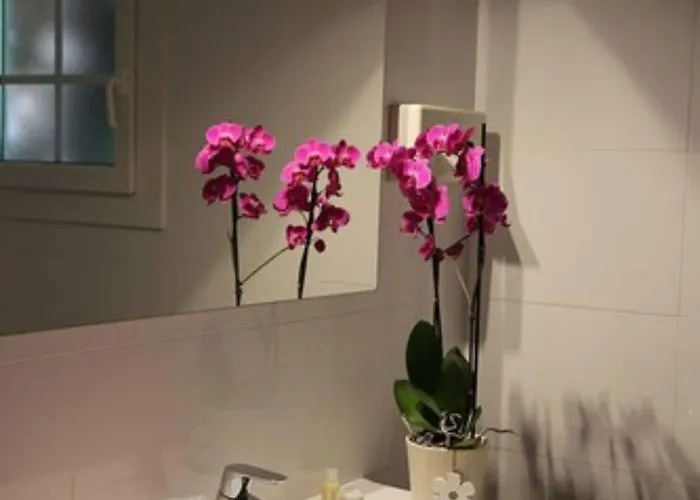 Les Jardins De - Parking Gratuit & Piscine Chauffee 3* Каси